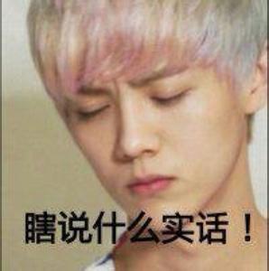 exo表情包#鹿晗# “瞎说什么实话！”