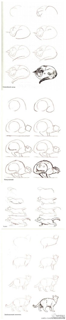 一些简单易学的画猫方法，必须收藏