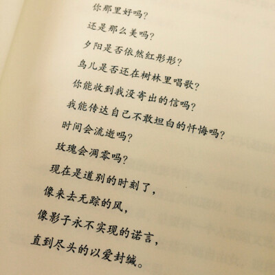 你回答过我吗。