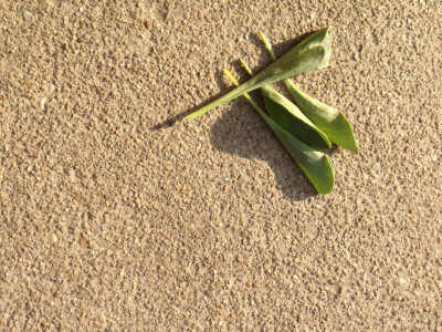 我和你的点点滴滴