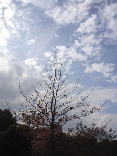 我和你的点点滴滴