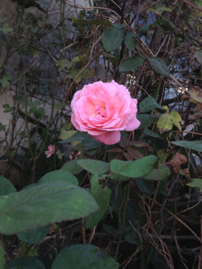 我和你的点点滴滴