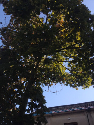 我和你的点点滴滴