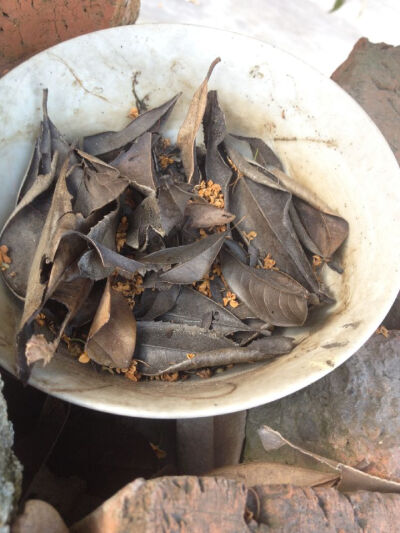 我和你的点点滴滴