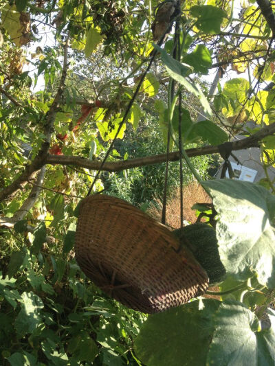 我和你的点点滴滴