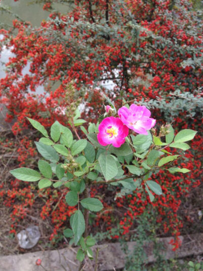 我和你的点点滴滴