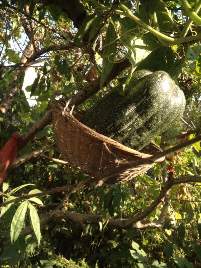 我和你的点点滴滴