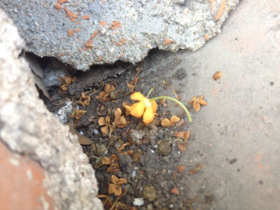 我和你的点点滴滴