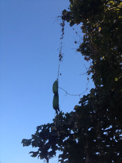 我和你的点点滴滴