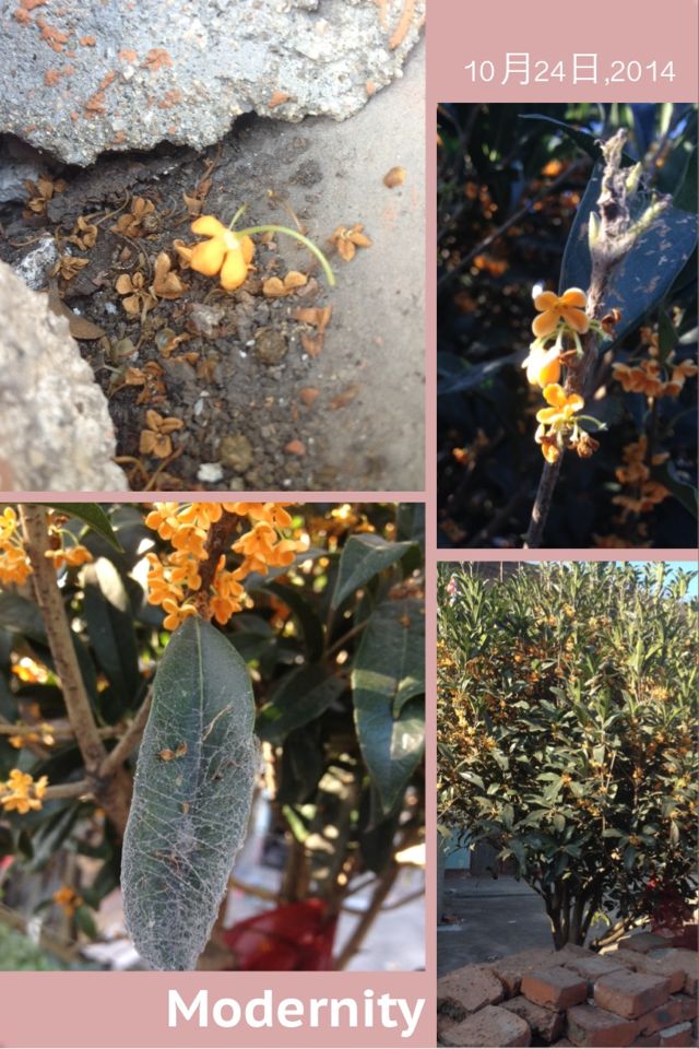 我和你的点点滴滴