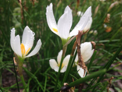 我和你的点点滴滴