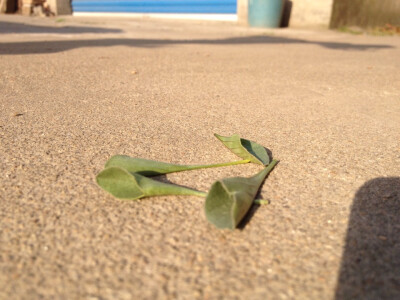 我和你的点点滴滴