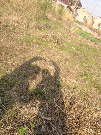 我和你的点点滴滴