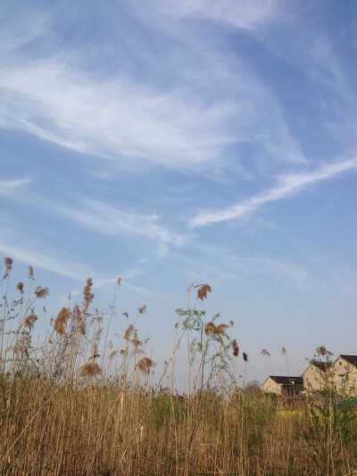 我和你的点点滴滴