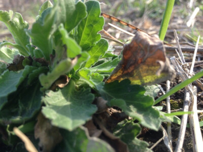 我和你的点点滴滴