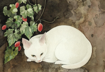 猫与花 作者：日本插画家山田绿