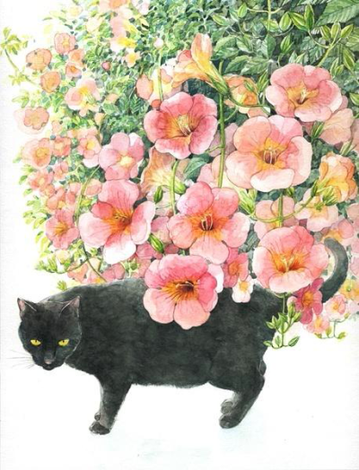 猫与花 作者：日本插画家山田绿