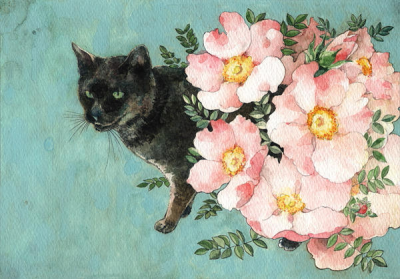 猫与花 作者：日本插画家山田绿