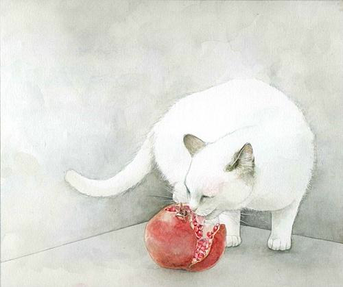 猫与花 作者：日本插画家山田绿