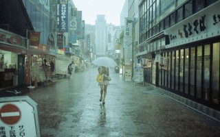 日本雨中摄影