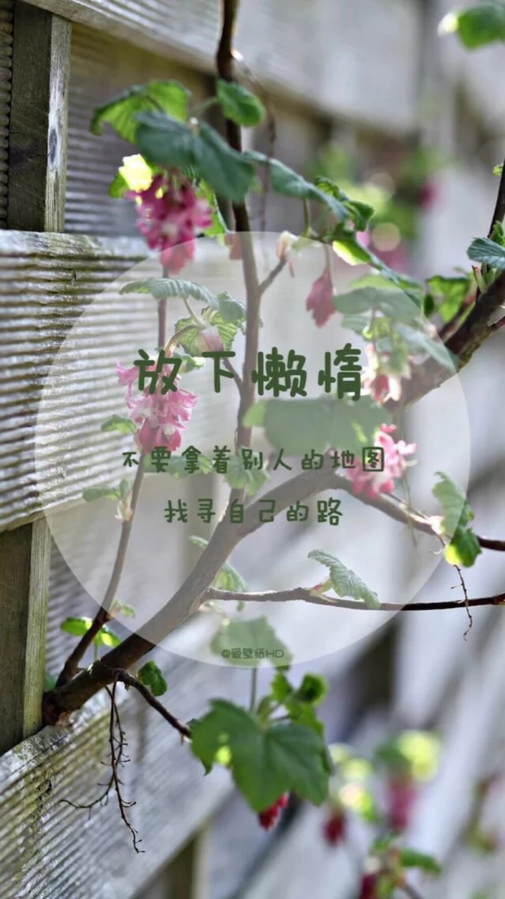 放下懒惰 - 堆糖,美图壁纸兴趣社区