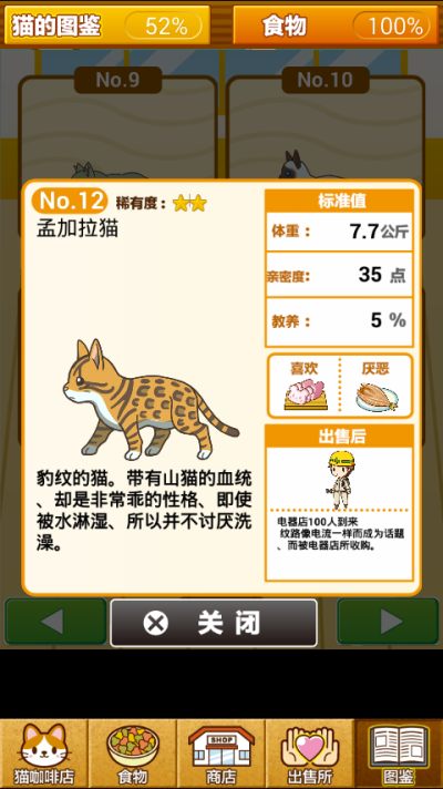 猫图鉴NO.12 孟加拉猫