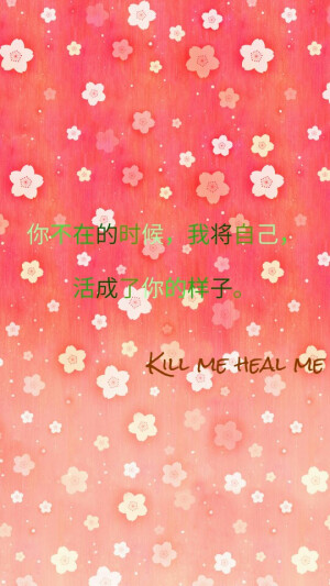 kill me heal me 经典台词