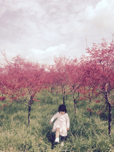 Show baby 琇公主踏青中