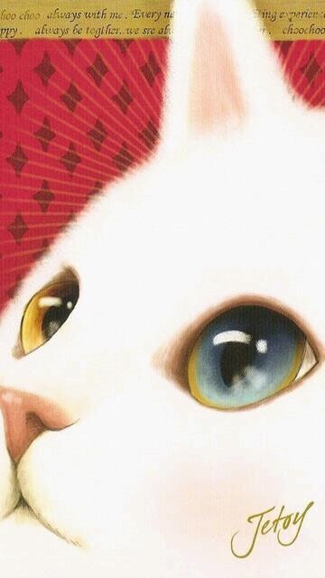 Jetoy Choo Choo Cat