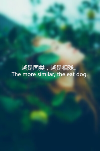 【越是同类，越是相残。The more similar, the eat dog.】更多de原创壁纸，自制壁纸，平铺壁纸，文字壁纸，萌萌哒壁纸，锁屏壁纸，英文壁纸，字母壁纸，星空壁纸，励志壁纸，感情壁纸，iPhone5壁纸，简易壁纸，黑底…