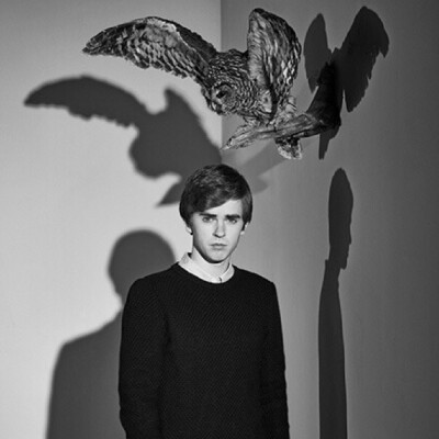 Freddie Highmore 桌面 壁纸 头像 欧美 帅哥 男神