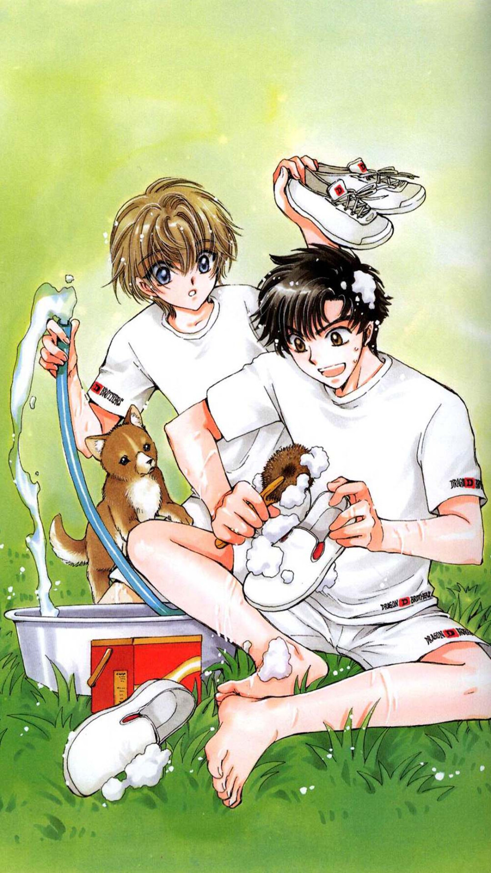 CLAMP