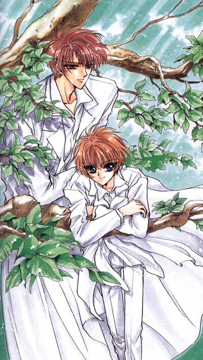 CLAMP