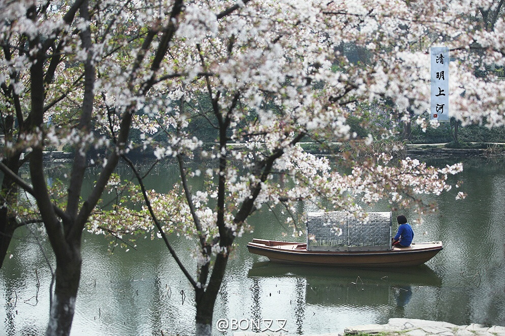 【清明上河】清明初晓，日照溪桥，泛舟河上，云自逍遥，水自逍遥。 摄影@BON叉叉