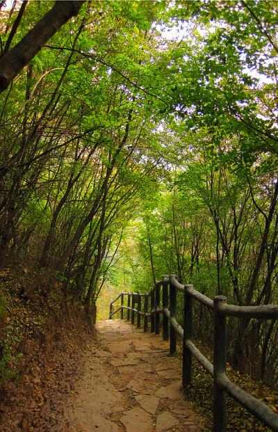 河南九莲山风景区。