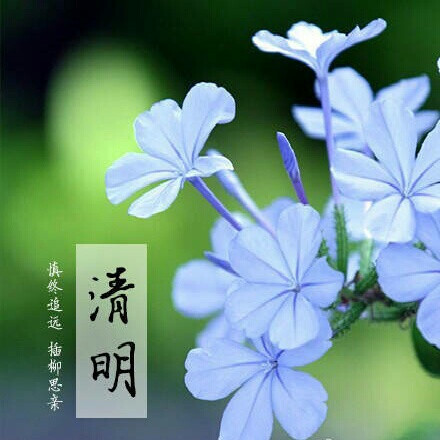 清明时节