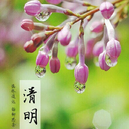 清明时节