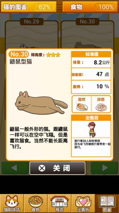 猫图鉴NO.30 鼯鼠型猫