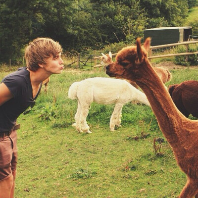 Joe Sugg