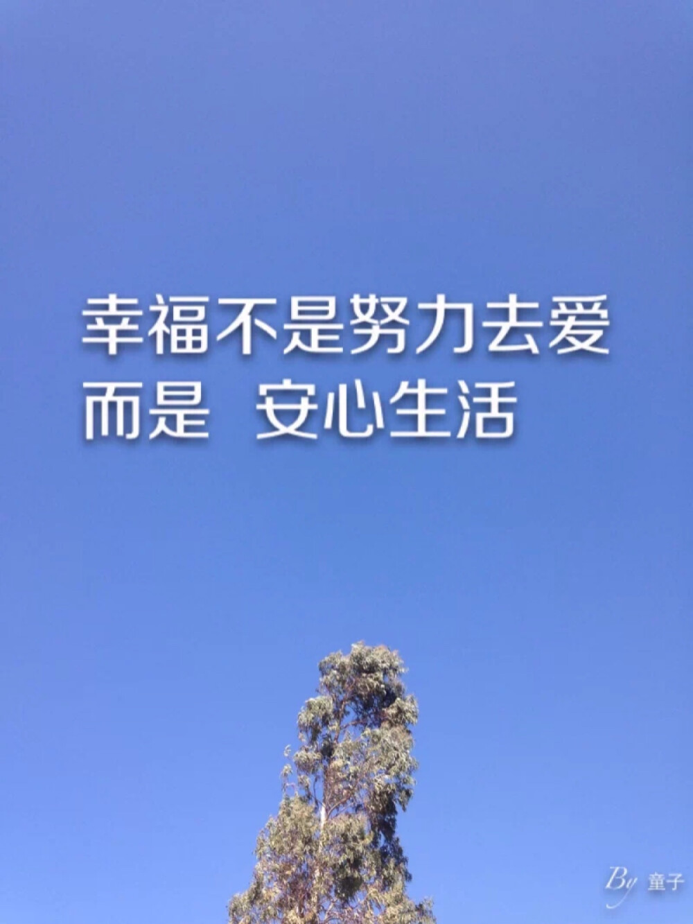 原创 拍摄于云南