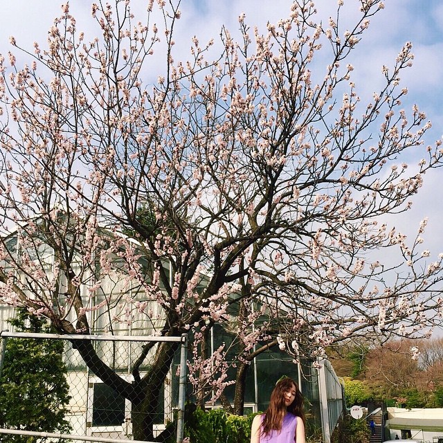 150403郑秀晶Krystal更新INS（春意浓浓的画报拍摄现场）