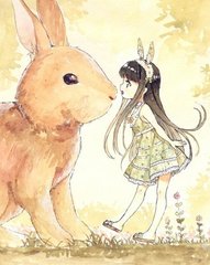 箱兔