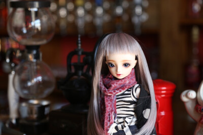 bjd 人偶 SD 人形 私养