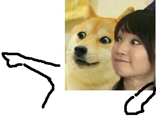 doge