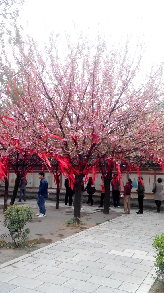 青龙寺