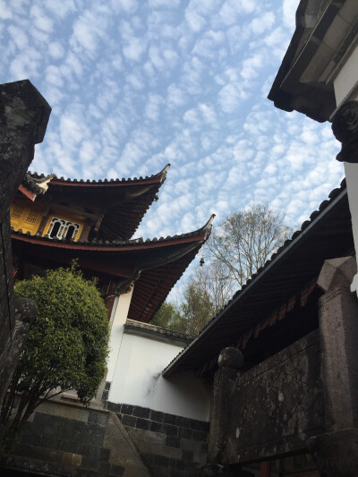 三月腾冲古镇古寺