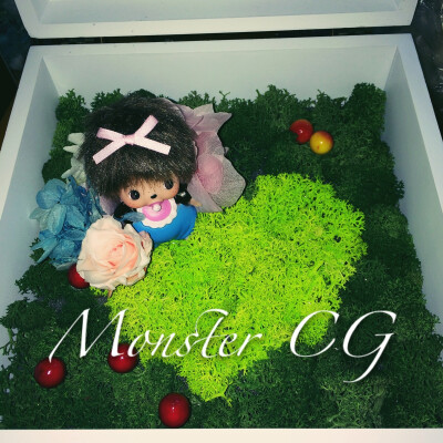 Monster CG 永生花礼盒/蒙奇奇