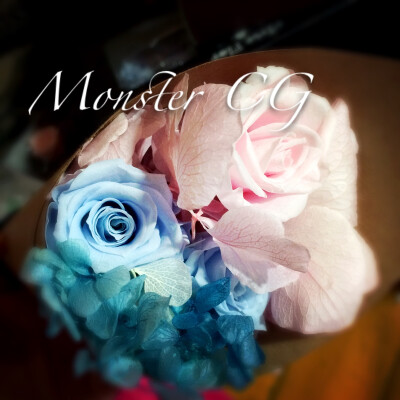 Monster CG 永生花蛋卷花束