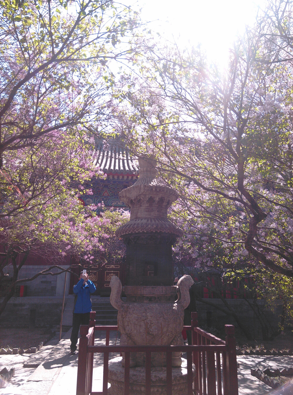 庭院深深，丁香花飘散。建于唐朝贞观年间的法源寺，在闹市中，独处清幽，淡看世事，不改初心。