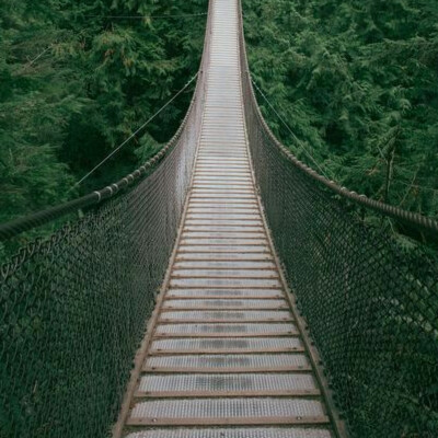 沿途风景依然美丽_长安